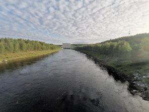 Эколого-краеведческая экспедиция "Айсберг" МБОУ СОШ № 5 (июнь 2021 года)